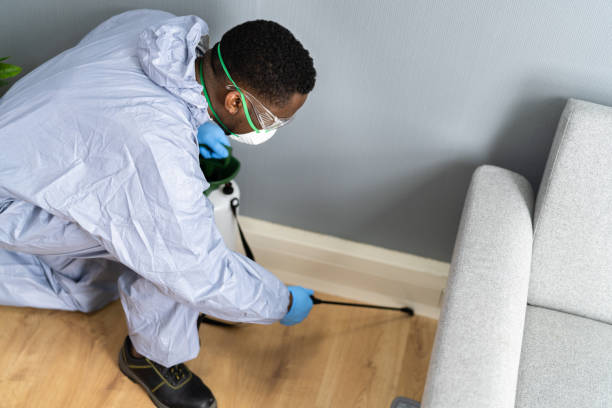 Trusted Langley, WA Pest control Experts